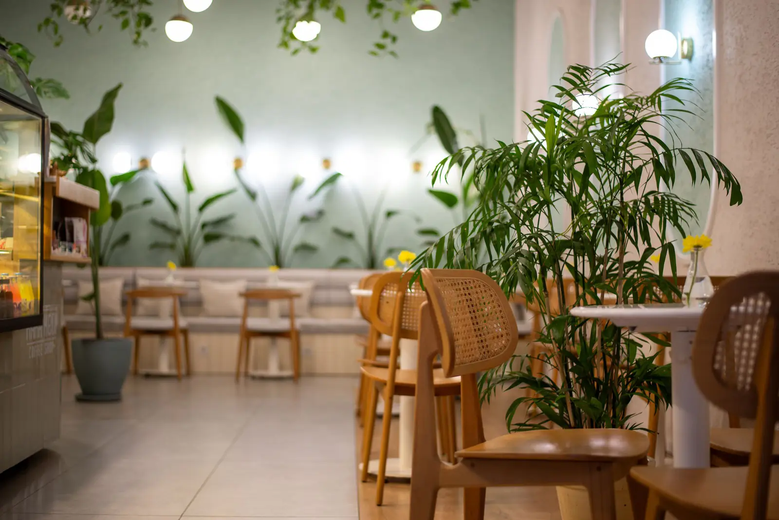 観葉植物と木の椅子が並ぶ明るいカフェの店内（イメージ写真）