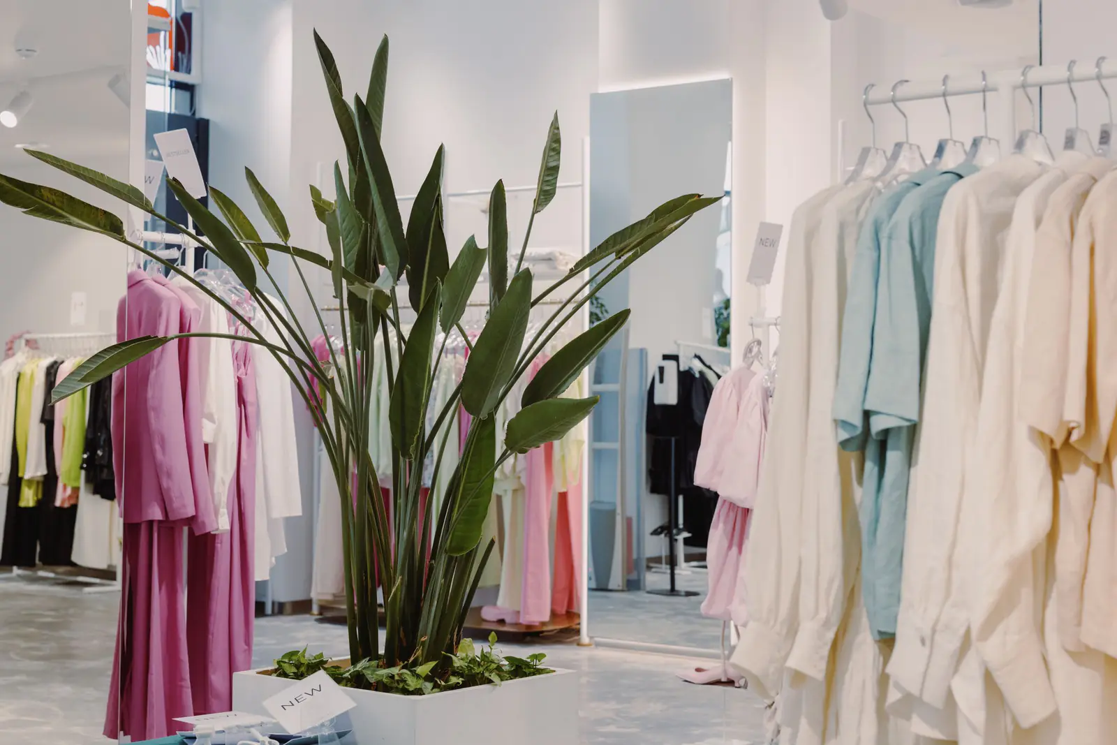観葉植物と淡い色の服が並ぶ明るいセレクトショップ（イメージ写真）